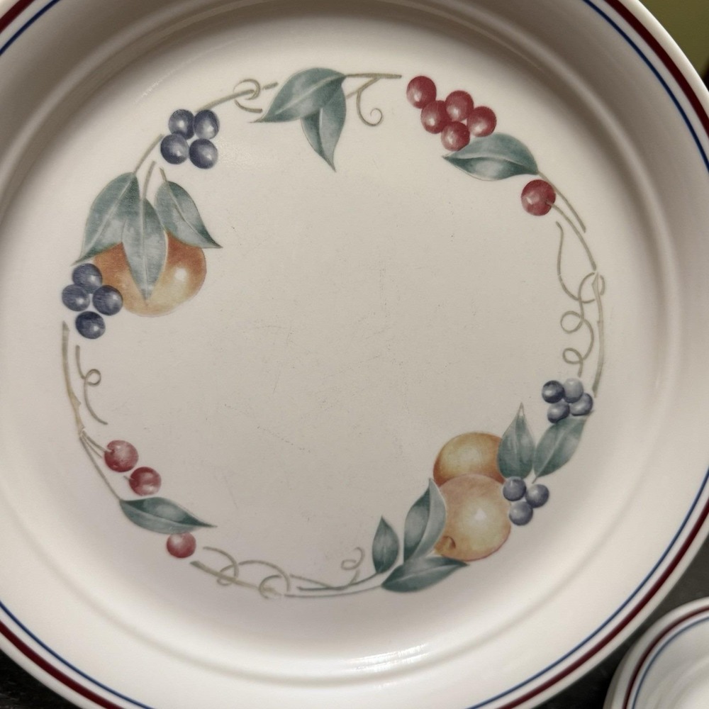 Corelle Abundance Vintage Dinner Plates 10" Vitrelle USA Set of 4 Cottagecore - Picture 6 of 8